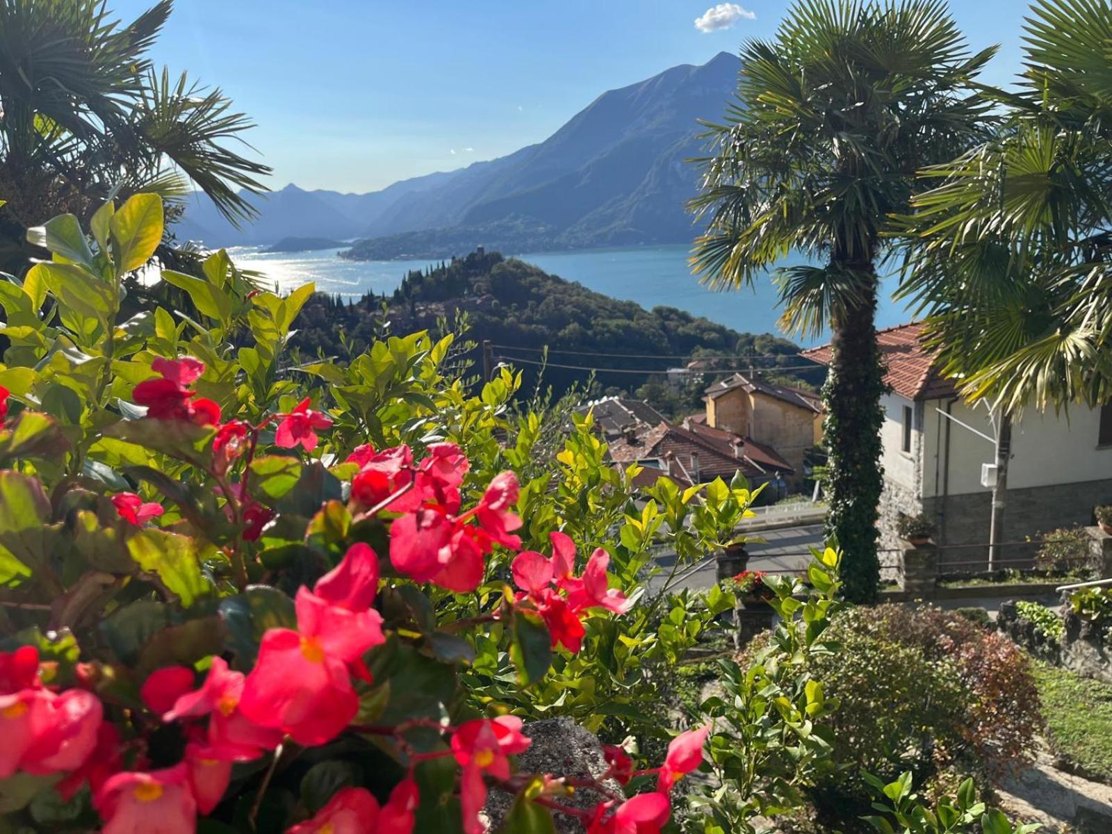 Villa Silvana